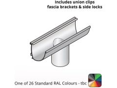 100x85mm Aluminium Aqualine Modern Running Outlet Assemblies with 63mm spigot - One of 26 Standard Matt RAL colours TBC 