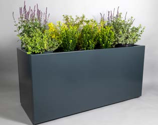 Grey raised planter containing green and purple shrubs