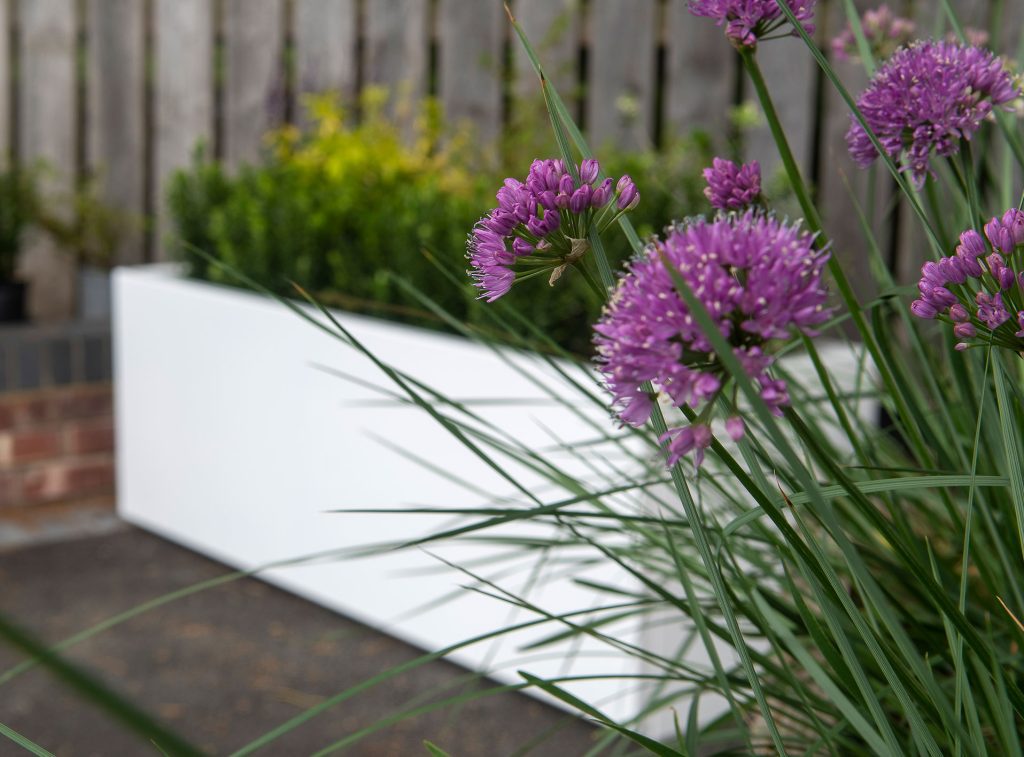 NEW Skyline Aluminium Planters - White 400x 400  x 1500mm planter out of focus in the background with purple flowers in foreground